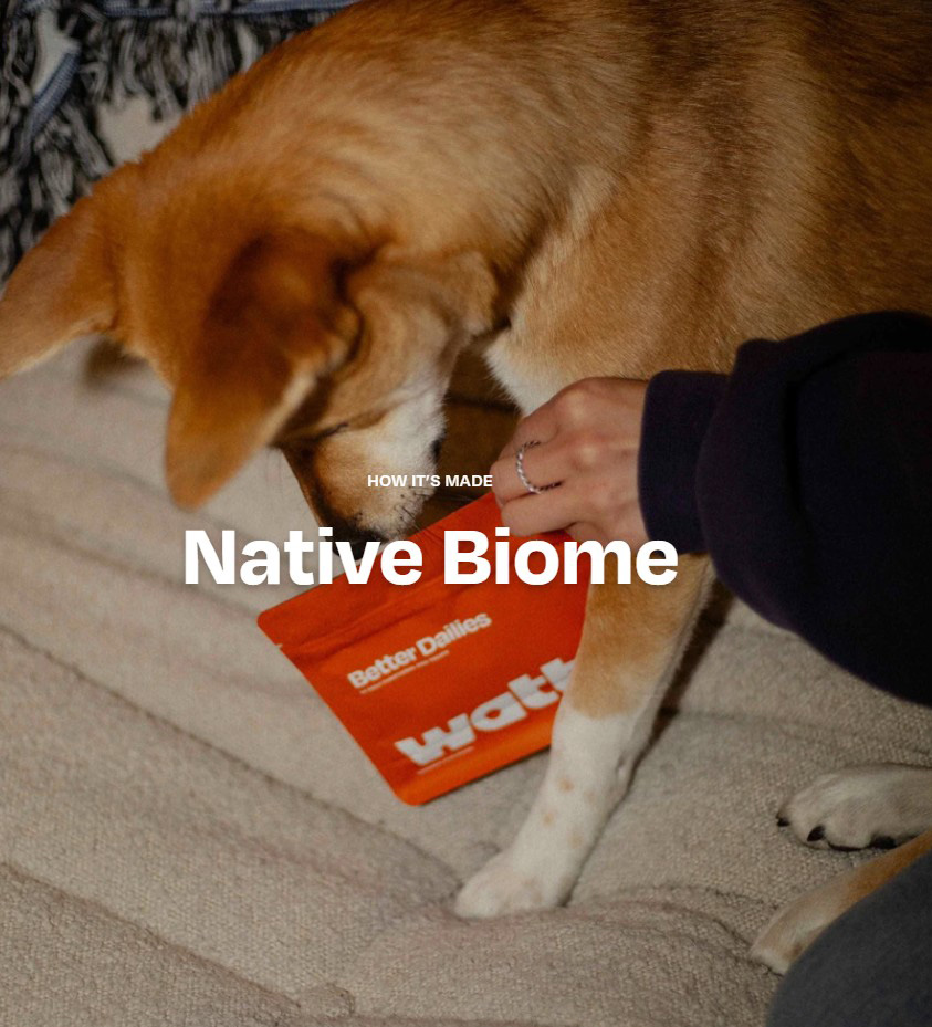 a photo of a dog nosing a red Better Dailies pouch